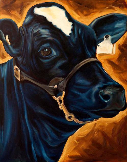 مزرعة البركه للإنتاج الحيوانى